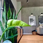 Modern W Zielonym Centrum Miasta *