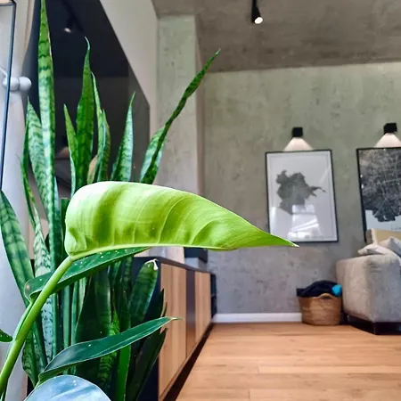 Modern W Zielonym Centrum Miasta *